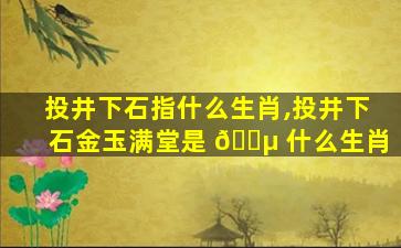 投井下石指什么生肖,投井下石金玉满堂是 🐵 什么生肖